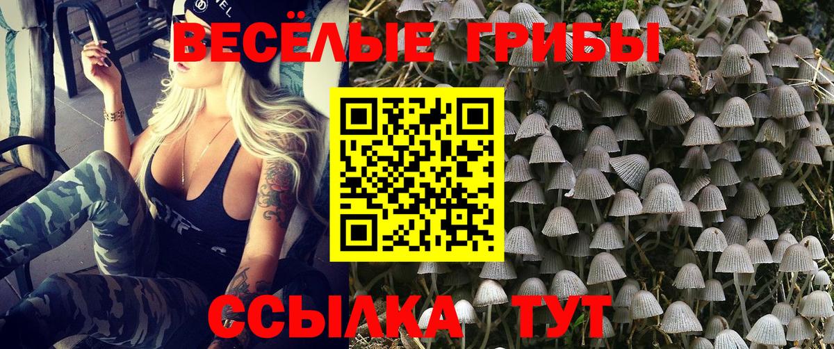 Галлюциногенные грибы Psilocybine cubensis  Псилоцибиновые грибы Magic Shrooms  Шали  Вход с VPN 