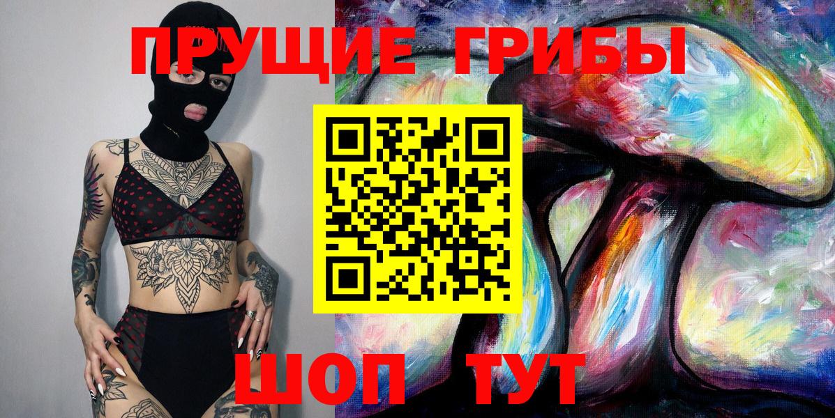 Галлюциногенные грибы Psilocybine cubensis Шали