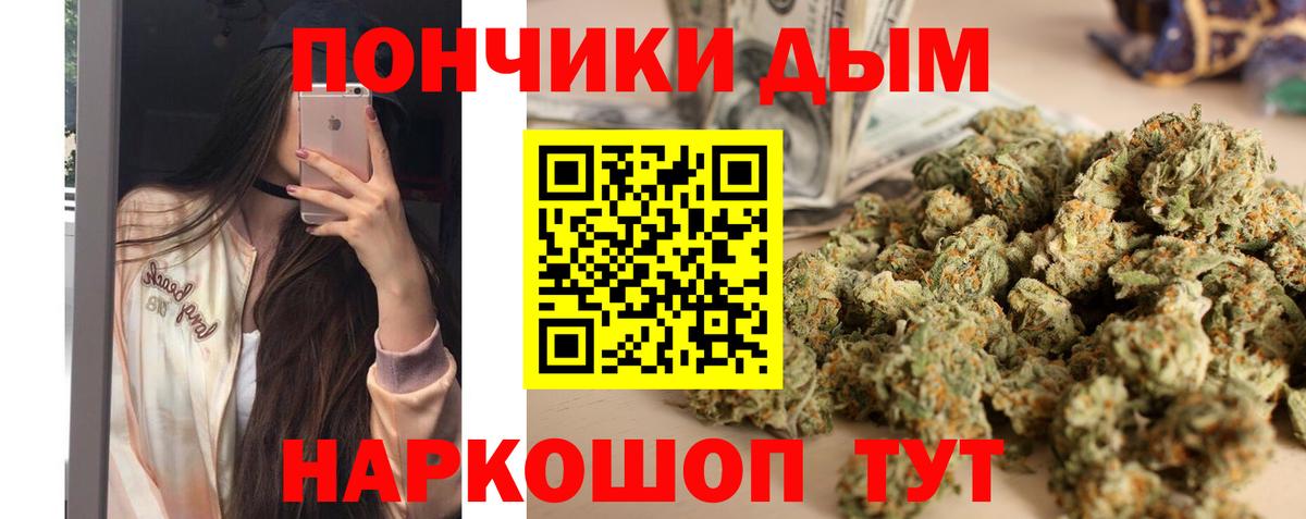 МАРИХУАНА сатива  Каннабис семена  Канабис White Widow  Шали 
